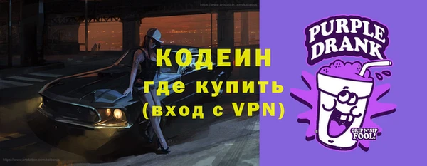 гидра Елизово