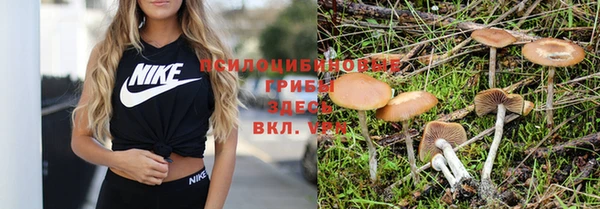 амфетамин Алексеевка
