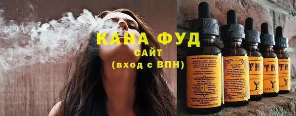 соль ск Ельня