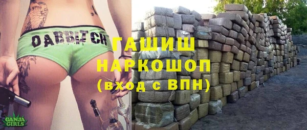 стаф Корсаков